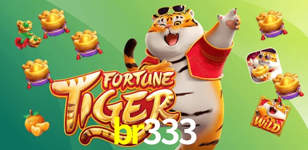 Bonus Features br333